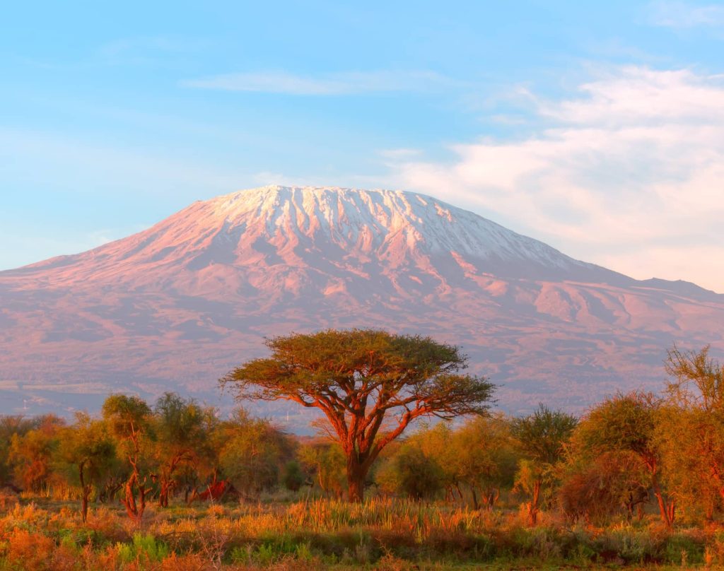 African Safaris Hub