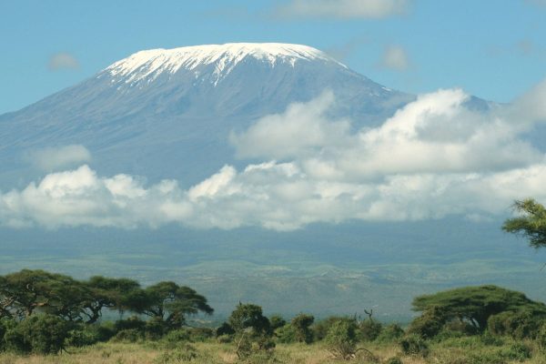 African Safaris Hub