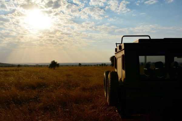 Tanzania Safari (2)